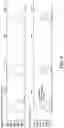 Fig. 07 - Methods and apparatus for extended dynamic range from single exposures in capillary electrophoresis