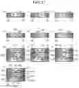 Fig. 16 - IMAGE PROCESSING APPARATUS, IMAGING SYSTEM, IMAGE PROCESSING METHOD AND COMPUTER READABLE RECODING MEDIUM
