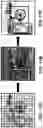 Fig. 17 - Motion assisted image segmentation