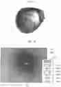 Fig. 23 - Method of operating measurement device, measurement device, and recording medium