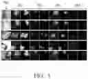 Fig. 08 - Image detection method and image detection device for selecting representative image of user