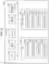 Fig. 11 - Depth-image processing device, depth-image processing system, depth-image processing method, and recording medium