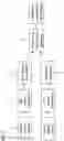 Fig. 02 - Method for three-dimensional digital subtraction angiography and apparatus
