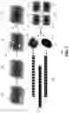 Fig. 08 - Method and apparatus for detection and visualization of pulmonary embolism