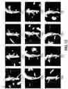 Fig. 13 - Method and apparatus for detection and visualization of pulmonary embolism
