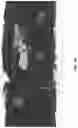Fig. 23 - Real-time system and method for rendering stereoscopic panoramic images