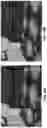 Fig. 46 - Real-time system and method for rendering stereoscopic panoramic images