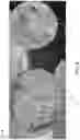 Fig. 09 - Indexed value blending for use in image rendering