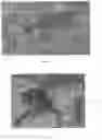 Fig. 23 - Point cloud data hierarchy