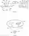 Fig. 09 - Wearable electronic glasses with eye tracking