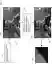 Fig. 09 - Method of modifying ray tracing samples after rendering and before rasterizing