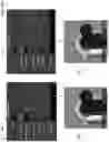 Fig. 14 - Method of modifying ray tracing samples after rendering and before rasterizing