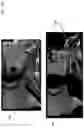 Fig. 16 - Method of modifying ray tracing samples after rendering and before rasterizing