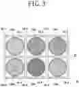 Fig. 04 - REMOTE CONTROL SWITCH FOR ELECTRICAL EQUIPMENT