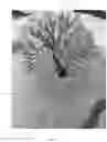 Fig. 06 - Pop-up display structure