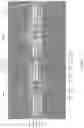 Fig. 04 - Display device