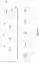 Fig. 10 - Data format