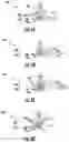 Fig. 03 - Anti-resonant panels