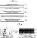Fig. 04 - Voice synthesis device