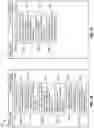 Fig. 03 - Transcription presentation