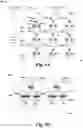 Fig. 06 - Transistorless memory cell