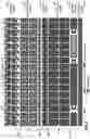 Fig. 06 - DRAM sense amplifier active matching fill features for gap equivalence systems and methods