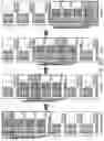 Fig. 48 - Memory system