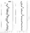 Fig. 06 - Comparative genomic hybridization array method for preimplantation genetic screening