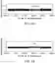 Fig. 71 - Methods and processes for non-invasive assessment of genetic variations