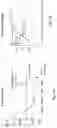 Fig. 19 - Aging markers of human microbiome and microbiomic aging clock