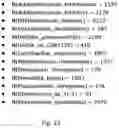 Fig. 23 - Aging markers of human microbiome and microbiomic aging clock