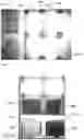 Fig. 11 - System and method for automated reagent verification