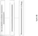 Fig. 10 - System and method for genetic based efficacy testing