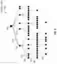 Fig. 10 - Machine learning systems and methods for assessing medical interventions for utilization review