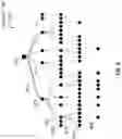 Fig. 10 - Machine Learning Systems and Methods For Assessing Medical Outcomes