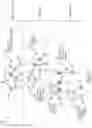 Fig. 06 - Phylogenetic tumor evolution trees with distribution of variants in cell populations
