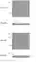 Fig. 04 - Metal plate resistor and method for manufacturing same