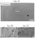 Fig. 03 - R-T-B-based sintered magnet