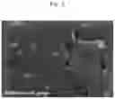 Fig. 04 - R-T-B-based sintered magnet