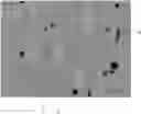 Fig. 01 - MAGNET MATERIAL, PERMANENT MAGNET, ROTARY ELECTRIC MACHINE, AND VEHICLE