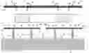 Fig. 01 - Inductive assembly and method of manufacturing inductive assembly