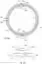Fig. 14 - Transformer structure