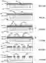Fig. 13 - Suspended grid structures for electrodes in vacuum electronics
