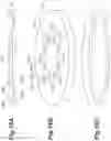 Fig. 17 - Antenna device, radiation method of electromagnetic waves, plasma processing apparatus, and plasma processing method