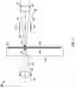 Fig. 04 - Molecular imaging of biological samples with sub-cellular spatial resolution and high sensitivity