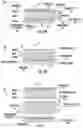 Fig. 05 - Microscale mass spectrometry systems, devices and related methods