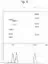 Fig. 08 - Mass spectrometry with increased duty cycle