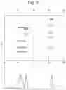 Fig. 09 - Mass spectrometry with increased duty cycle