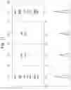 Fig. 11 - Mass spectrometry with increased duty cycle