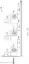 Fig. 07 - Apparatus and process for electron beam mediated plasma etch and deposition processes